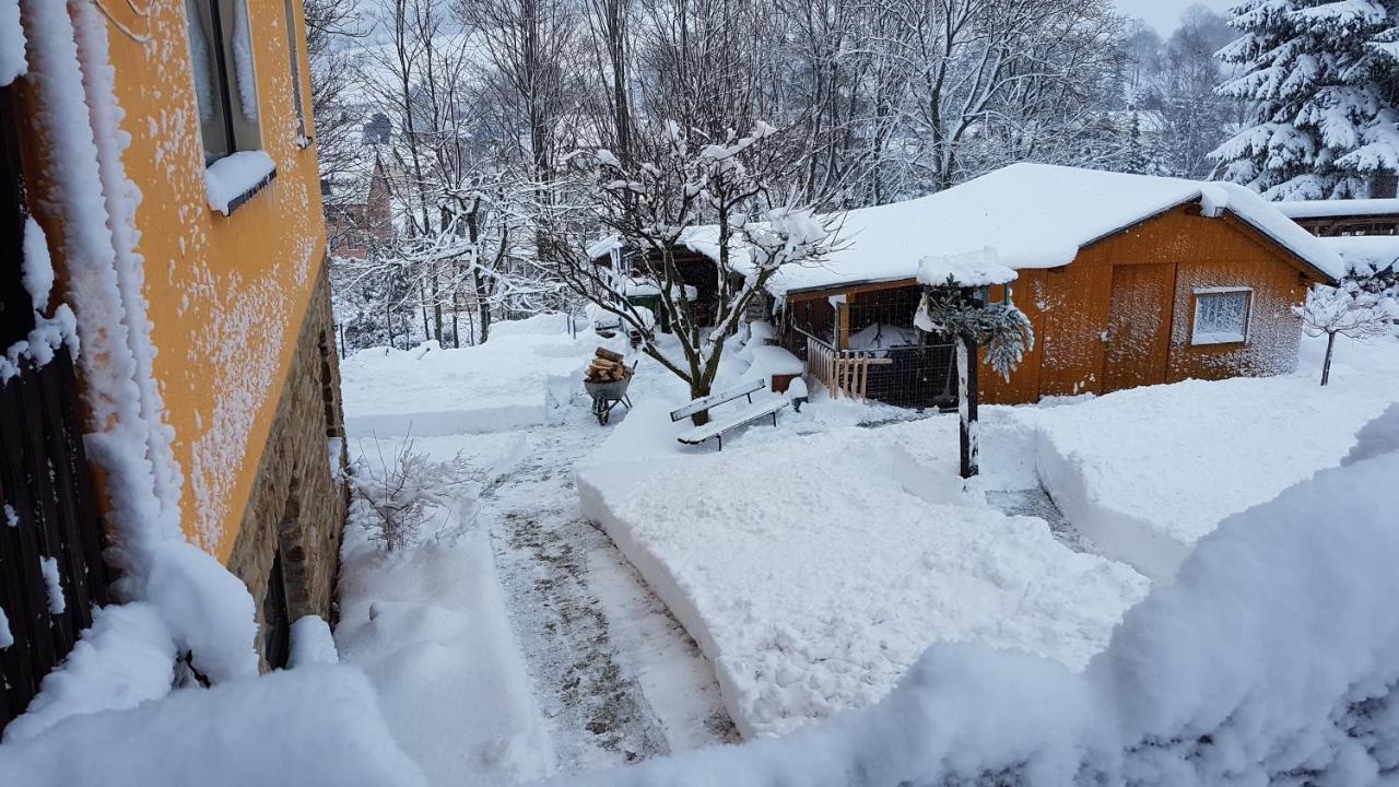 Apartamento Waldhufenidyll Koenigswalde Im Erzgebirge Konigswalde Exterior foto