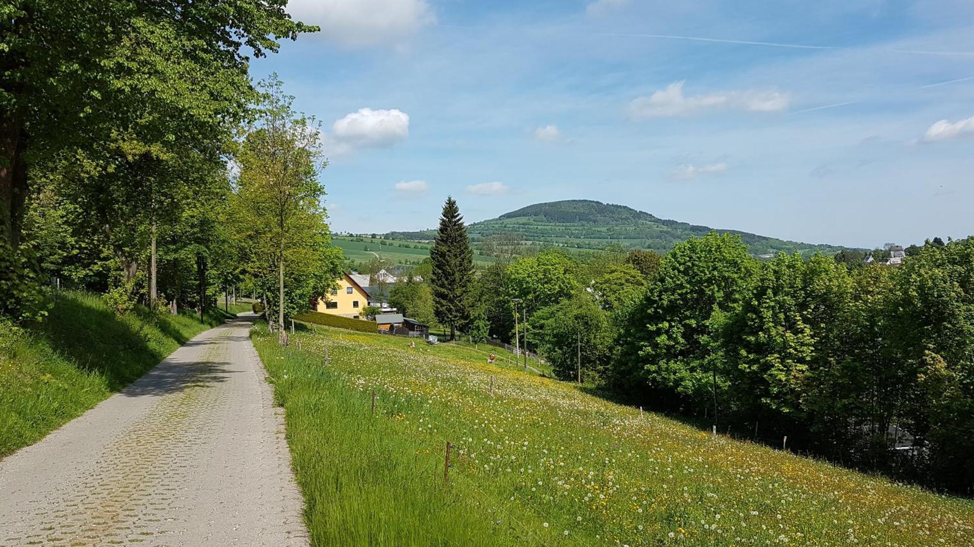 Apartamento Waldhufenidyll Koenigswalde Im Erzgebirge Konigswalde Exterior foto